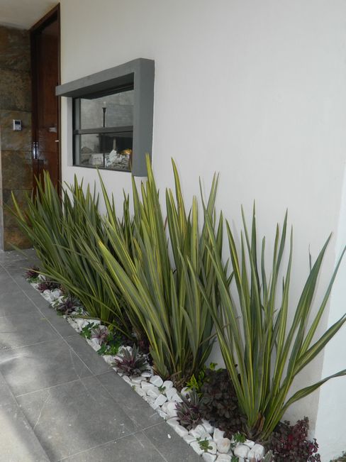 Después de ver estos 19 jardines vas a querer hacer el tuyo en casa
