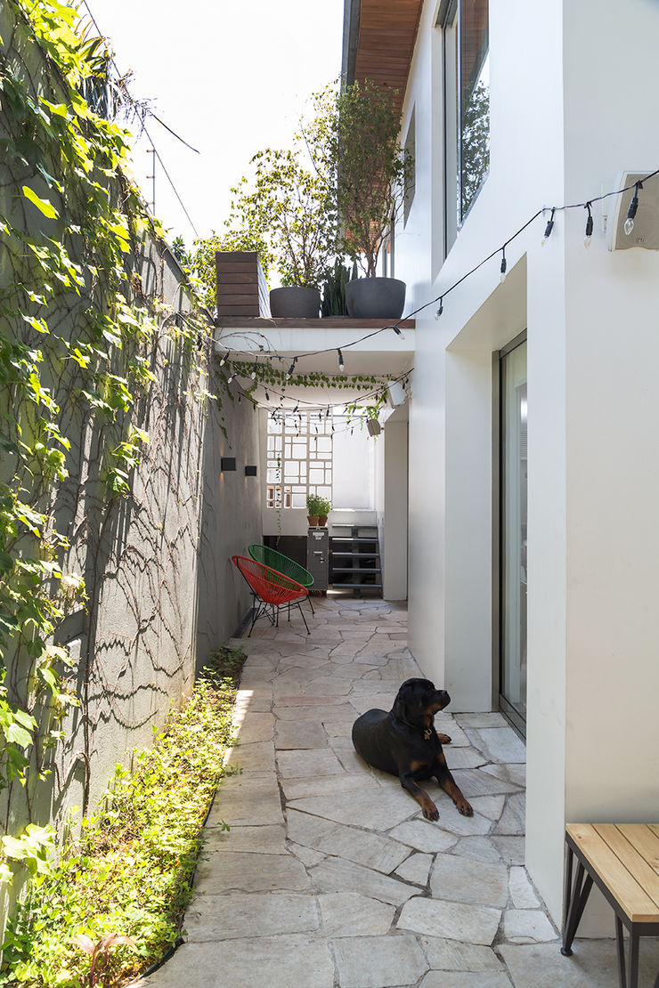 Residencia da Esquina SALA2 arquitetura e design Jardins tropicais
