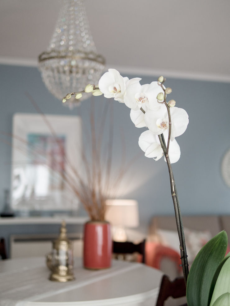 Apartamento em Sintra MUDA Home Design Escritórios modernos