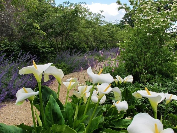 Walled Garden, Bradford Upon Avon Katherine Roper Landscape & Garden Design Modern garden