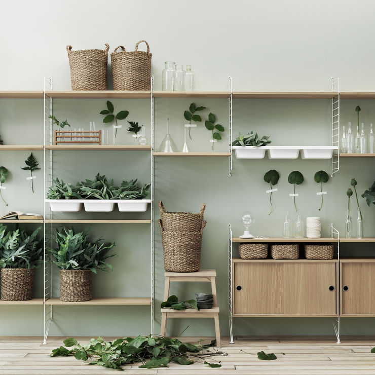 Een plantenrek aan de muur de leukste ideeën! homify