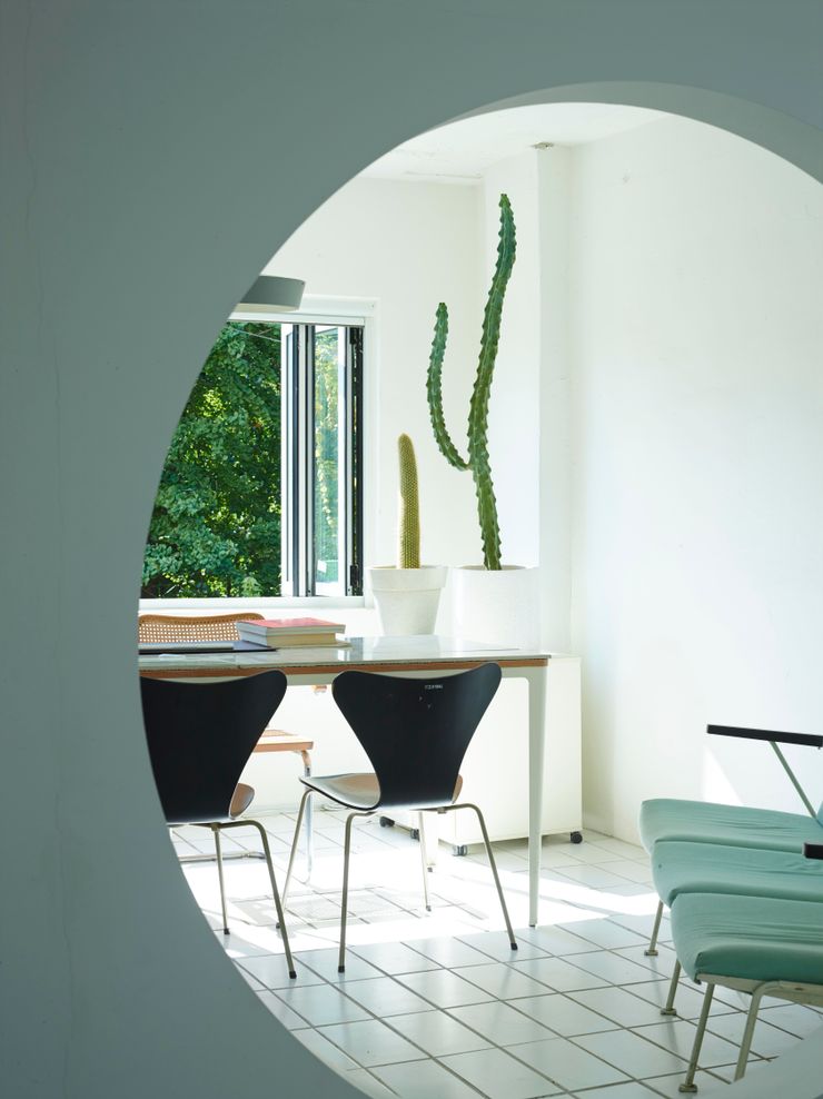미니 가든 GARDEN STUDIO GartenPflanzen und Blumen