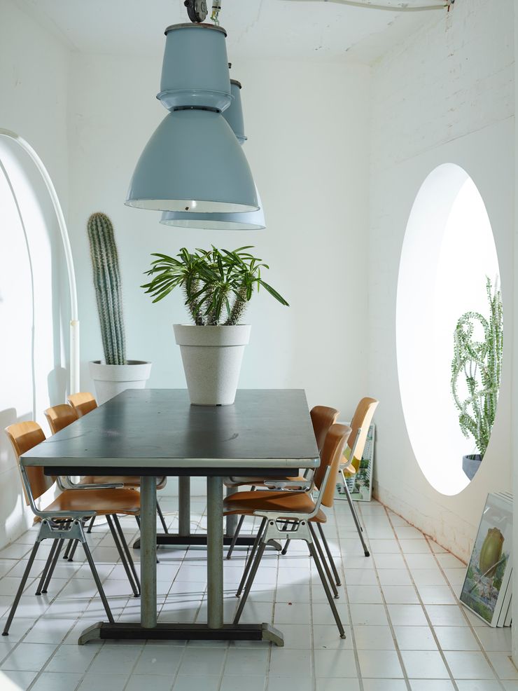 미니 가든 GARDEN STUDIO GartenPflanzen und Blumen