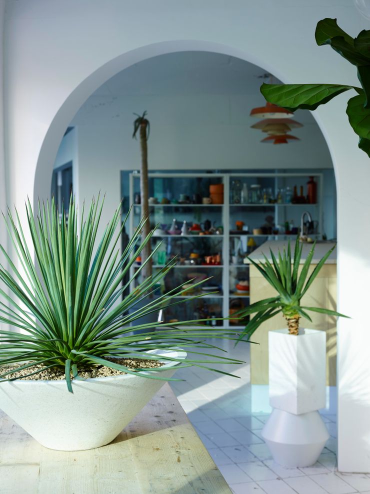 미니 가든 GARDEN STUDIO GartenPflanzen und Blumen