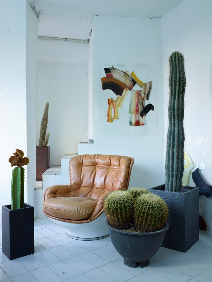 미니 가든 GARDEN STUDIO GartenPflanzen und Blumen