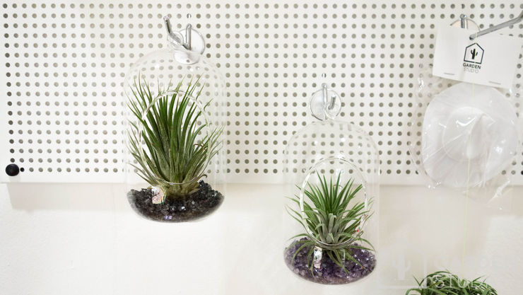 미니 가든 GARDEN STUDIO GartenPflanzen und Blumen