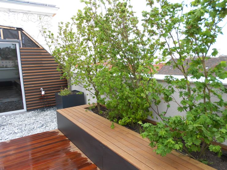 Rooftops BEGRÜNDER Moderner Balkon, Veranda & Terrasse