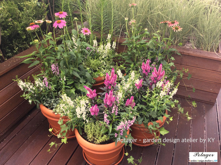 Potager Hiên, sân thượng phong cách kinh điển Purple/Violet