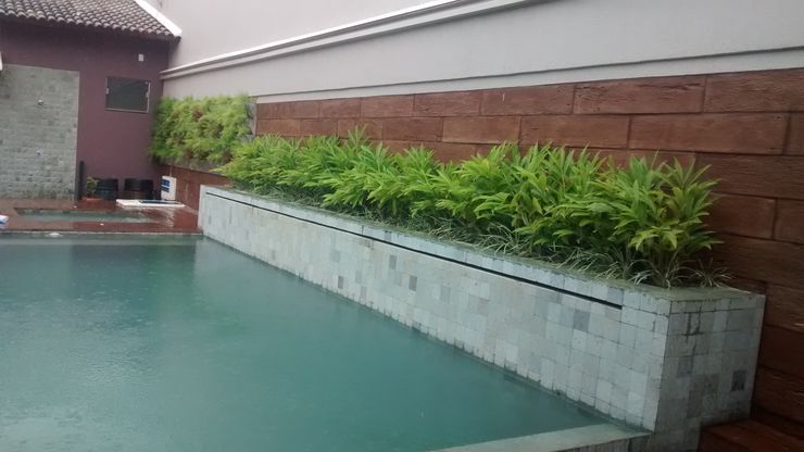Borges Arquitetura & Paisagismo Hồ bơi phong cách hiện đại