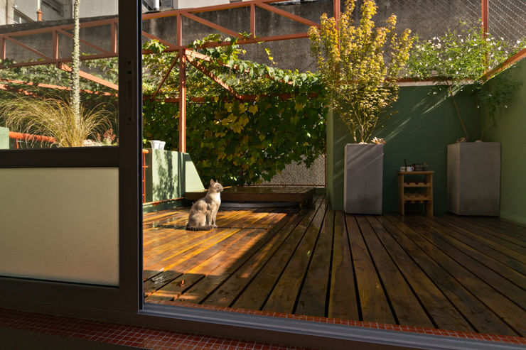 Pop Arq Minimalist style garden