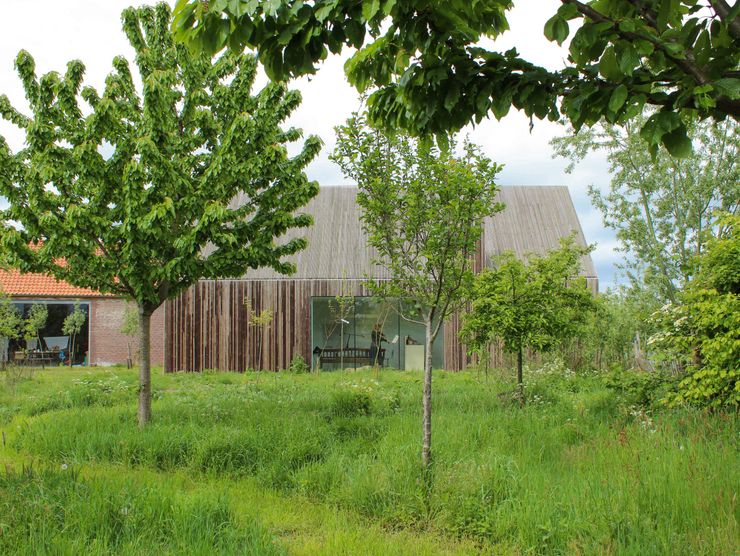 Julius Taminiau Architects Дерев'яні будинки Дерево Дерев'яні