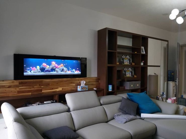 Crystal Black—Residential Seazone Living roomAccessories & decoration