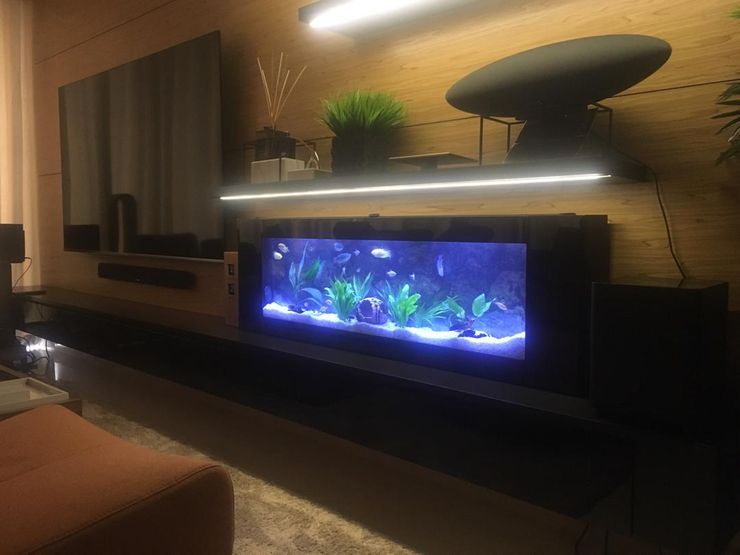 Crystal Black—Residential Seazone Living roomAccessories & decoration