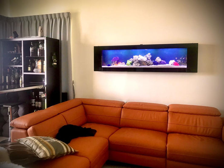 Crystal Black—Residential Seazone Living roomAccessories & decoration