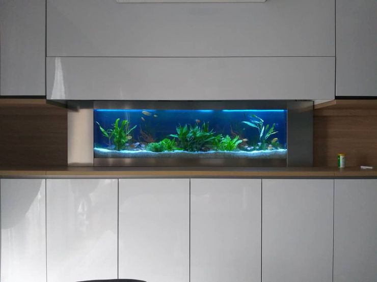Stainless Steel—Residential Seazone Dining roomAccessories & decoration