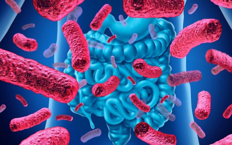 Leaky Gut Revive | Does It Really Work ? | Read Reviews & Benefits Leaky Gut Revive Garages & sheds