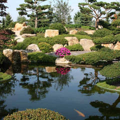 Asiatische Garten Ideen & Inspiration homify