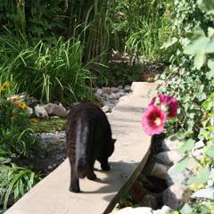 Tropische Garten Ideen & Inspiration | homify