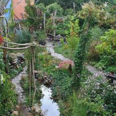 Tropische Garten Ideen & Inspiration | homify