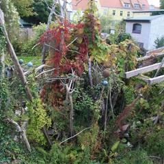 Tropische Garten Ideen & Inspiration | homify