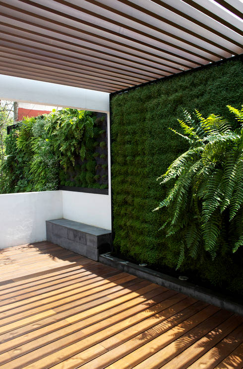 Jardines verticales: ¡10 diseños para casas modernas!