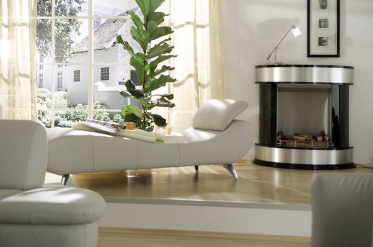 Moderne kamine elektrokamine ethanolkamine by kamin design ...