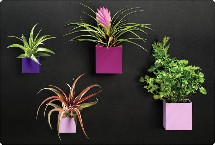 Frische Wanddekoration Mit Pflanzenwand Mit Haengenden Blumentoepfe h 228 ngende g 228 rten 10 geniale ideen Frische Wanddekoration Mit Pflanzenwand Mit Haengenden Blumentoepfe h 228 ngende g 228 rten 10 geniale ideen