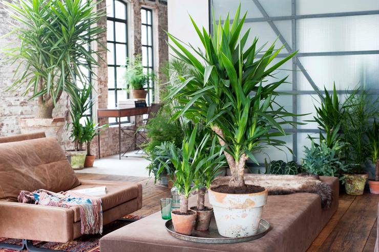 Wohnzimmer dekorieren: 10 ideen für ein stilvolles ambiente