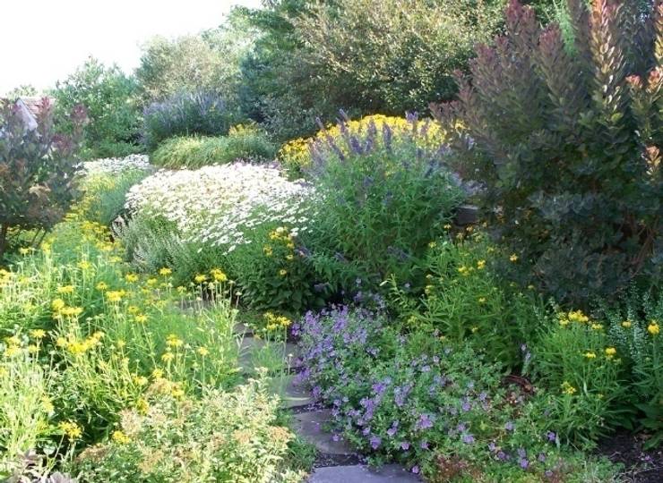 Garten gestalten mal anders Wild ist jetzt angesagt!