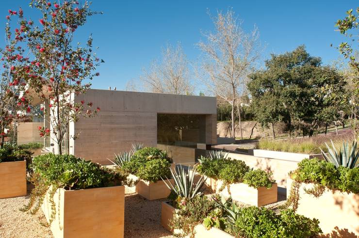 11 jardineras para que tu patio se vea moderno y fantástico