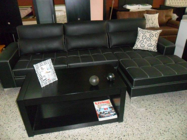 Muebles de cuero: ¿cómo protegerlos?
