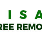 Visalia Tree Removal Pros.