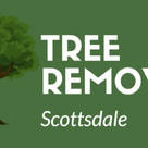 Tree Removal Scottsdale AZ