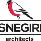 Snegiri Architects