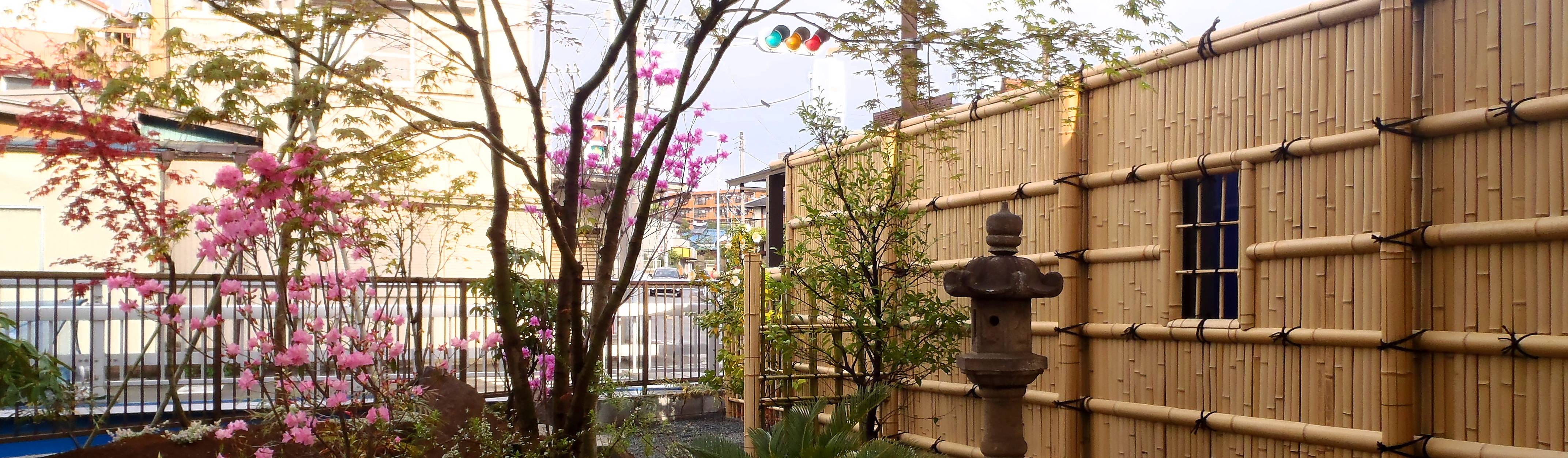 庭咲桜（にわざくら）