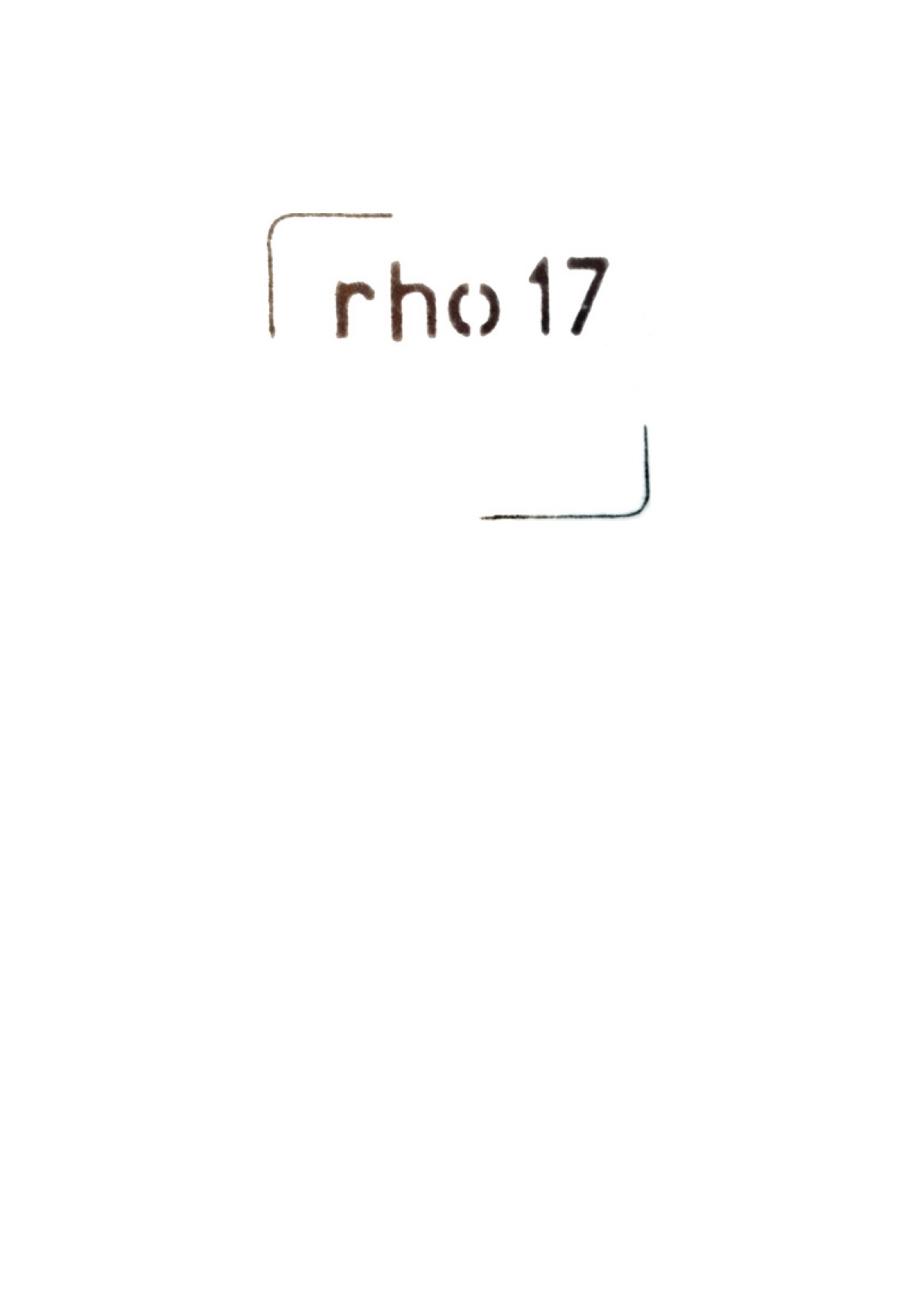 rho 17