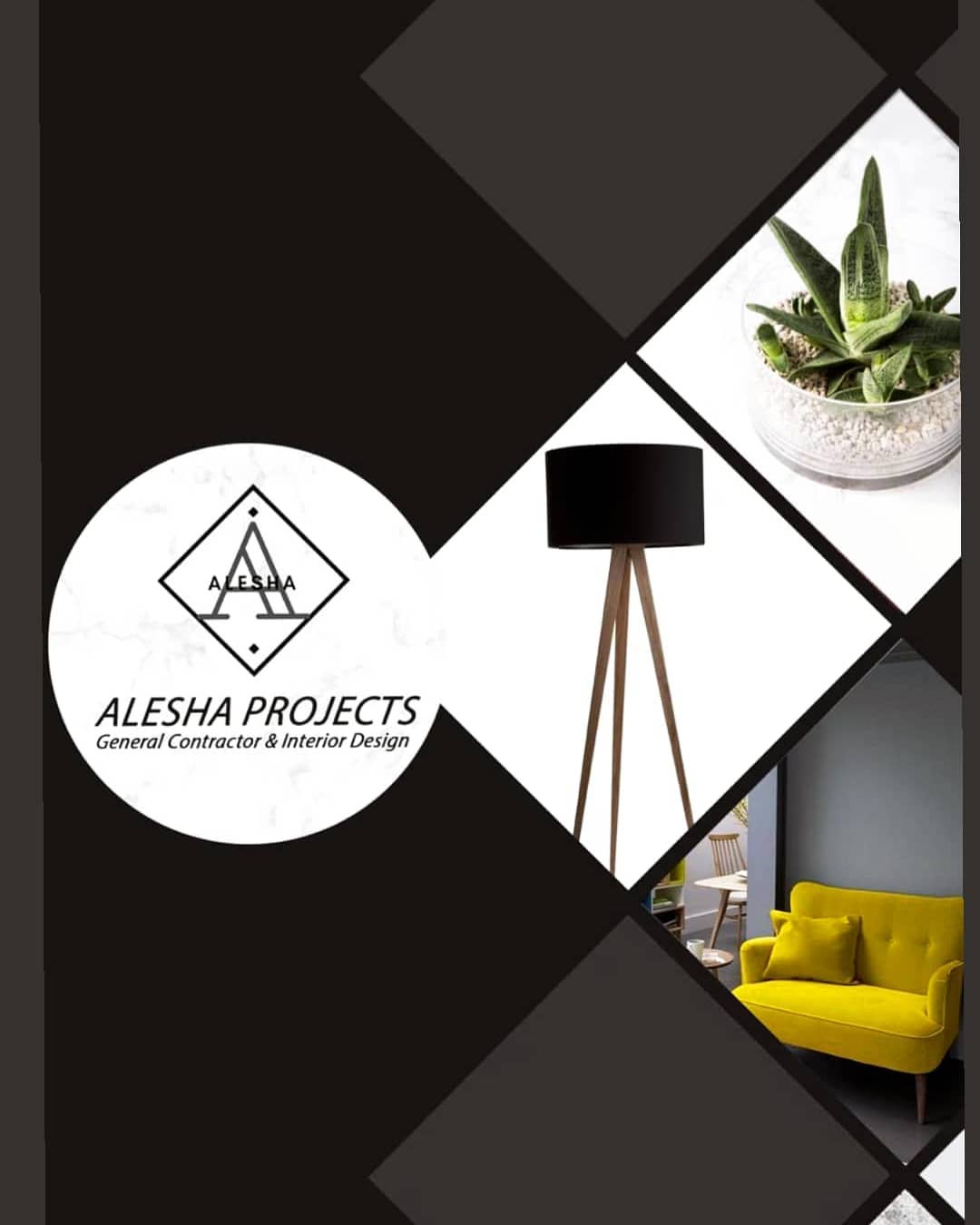 alesha projects