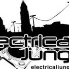 Electrical jungle