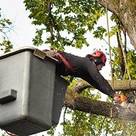 Leather City Tree Service