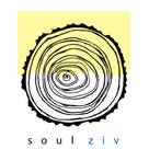 Soul Ziv Architecture