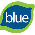 Bluelime Home Design