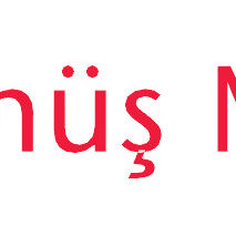 Gumus Mobilya Bursa Mobilya Aksesuarlar Homify