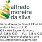 Alfredo Moreira da Silva &amp; Filhos Lda