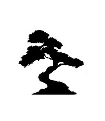 Bonsai Architectural Designs