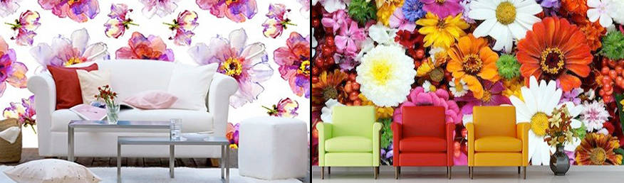homify