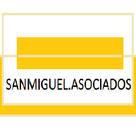 sanmiguel.asociados