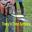 Tony&#39;s Tree Service