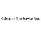 Galveston Tree Service Pros