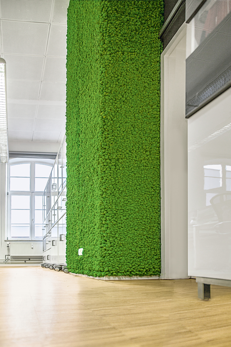 NATURADOR® Vertikale Gärten Innenraumbegrünung in Diedorf