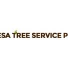 Mesa Tree Service Pros